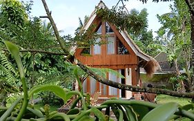 Green Haven Homestay