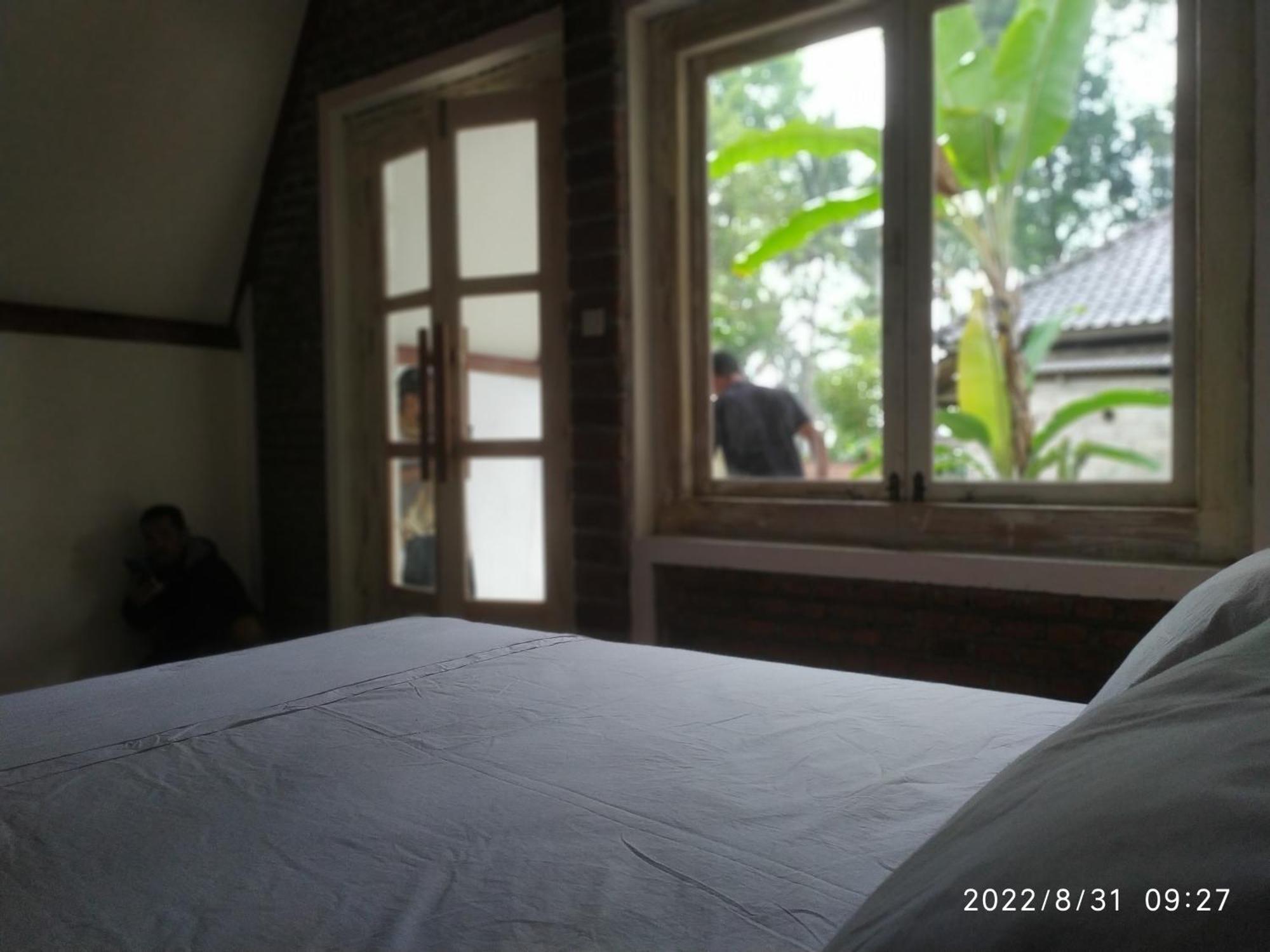 Green Haven Homestay Tetebatu Habitación foto